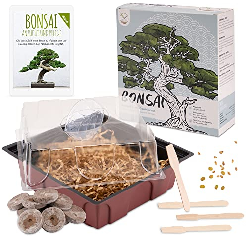Bonsai Starter Kit Anzuchtset inkl. GRATIS eBook - Pflanzset aus Mini-Gewächshaus, Samen & Erde - nachhaltige Geschenkidee für Pflanzenfreunde (Samen: Afrikanischer Blauregen + Zwerg-Granatapfel)