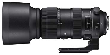 Sigma 60-600mm F4,5-6,3 DG OS HSM Sports Objektiv (105mm Filtergewinde) für Nikon Objektivbajonett