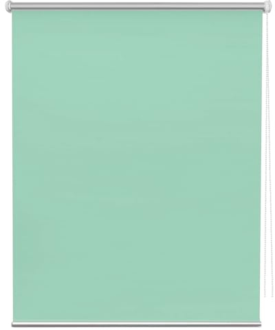 Verdunkelungsrollo Ohne Bohren 65 x 190 cm Sonnenschutz Blickdicht Seitenzugrollo Verdunkelungs-Rollo Einfache Installation für Fenster und Türen, Zart Grün