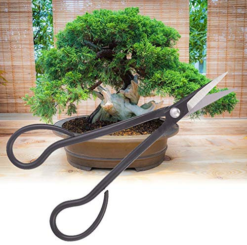 Tijeras Bonsai de Acero Revestida de Bonosai, Bonsai Shear Scissors Tijeras Bonsai Skear, Largo de Largo.