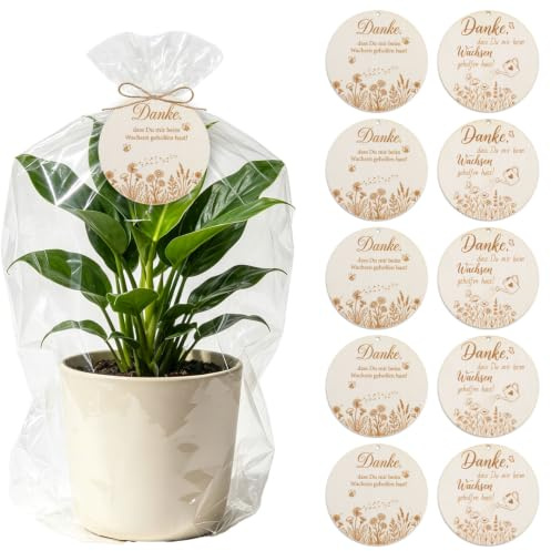 10 Stück Holz Anhänger mit Juteschnur, Dankesgeschenk für Erzieherin Lehrkraft, Gravur „Danke dass du mir beim Wachsen geholfen hast“, Dekorationsetiketten für Geschenke Blumensträuße