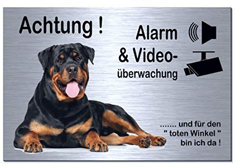 Rottweiler-Alarm-Video-Überwachung-Hund-30 x 20 cm-Schild-Hundeschild-Aluminium Edelstahloptik-Hunde-Tierschild-Warnschild-Hinweisschild 133-4 (133-4 -300 x 200 x 3 mm mit Löcher)