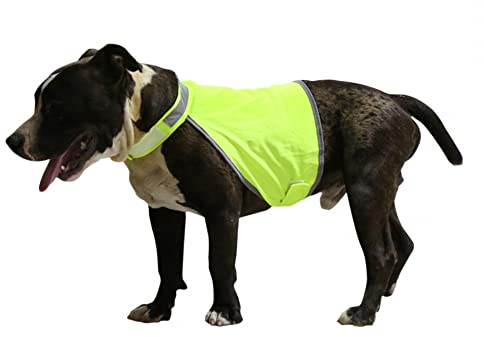 Warnweste Hund, Verstellbar Neongelb Sicherheitsweste Hunde mit Reflektierenden Elementen für mehr Sicherheit im Dunkeln