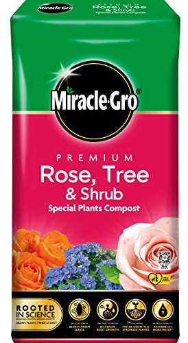 Miracle Gro 119827 Rose Tree & Shrub Compost - 20L BALE, (New 2020 Range), Earth