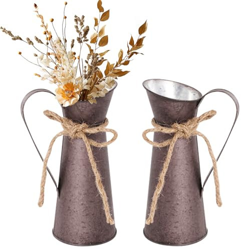RANJIMA Juego de 2 Jarrones Decorativos Vintage de Metal Jarrones Decorativos para Cocina Estilo Rústico Decoración de Mesa Ventanas Plantas