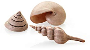 biOrb 48355 Muschel Set natural, 3er-Set - detailgetreue Keramik-Muscheln, Aquarium Dekoration, für alle biOrb Aquarien