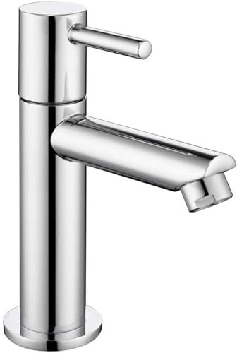 Rubinetto per acqua fredda, miscelatore per il bagno, miscelatore monocomando, in acciaio inox, miscelatore per lavabo, rubinetti per il bagno con beccuccio, rubinetto per l'acqua fredda per il bagno