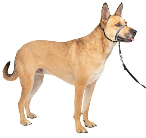 PetSafe Gentle Leader No-Pull Dog Headcollar - The Ultimate Solution to Pulling - Redirects Your Dog's Pulling for Easier Walks - Helps You Regain Control - Medium, Charcoal