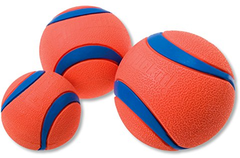Chuckit! CHUCKIT - Ultra Ball - Spielzeug für Hunde - Doppelpack - 2 x Gr. M 6 cm 2 Pack