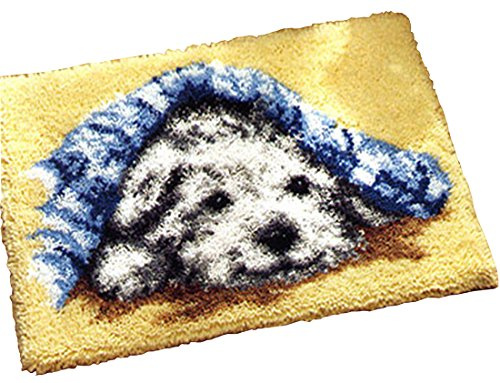 Raixleb Latch Hook Kits Knüpfteppich für Kinder und Erwachsene zum Selber Knüpfen DIY Teppich 51x 38 cm Hund