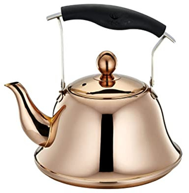 ZHZXBDGQ Bollitore da tè fischio con infusore a foglia allentata, teiera in acciaio inox, bollitore da campeggio, bollitore a fondo piatto ispessito per stufa a gas pentola a induzione