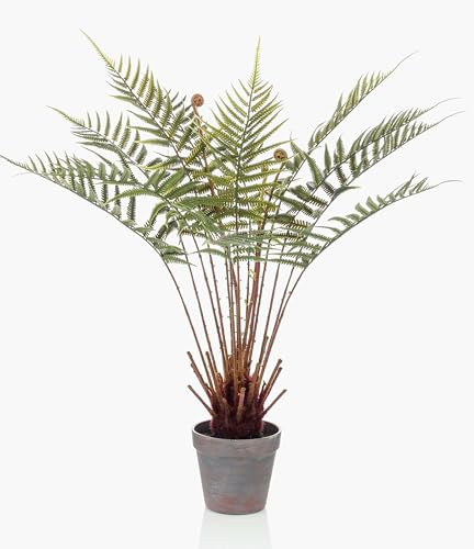 artplants.de Planta Falsa de Helecho arbóreo simulado CAMASO, 60cm