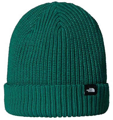 THE NORTH FACE NF0A55JGNL11 TNF Fisherman Beanie Evergreen Hat Unisex Adult Evergreen Größe OS