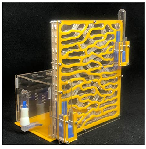 ZHL DIY 6 Schichten Ameisenfarm Große 19,5 * 15 * 22cm Ameisennest Acryl Ameisenhaufen Mit Fütterungsbereich Ameisenhaus Villa Insekt Haustier Workshop Educational Formicarium (Color : Yellow)
