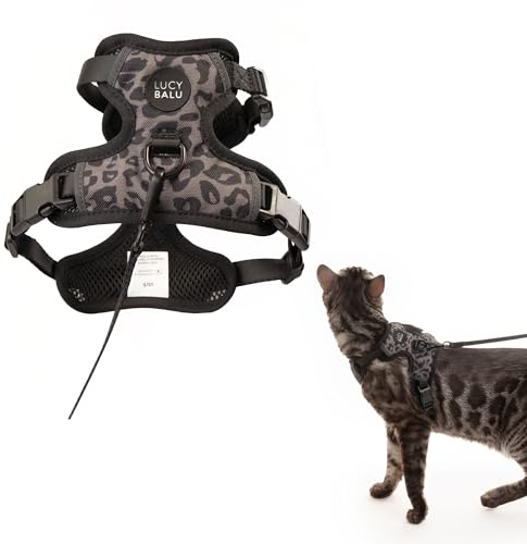 LucyBalu® Explorer Katzengeschirr & Leine mit AirTag-Tasche | Leo XS/S