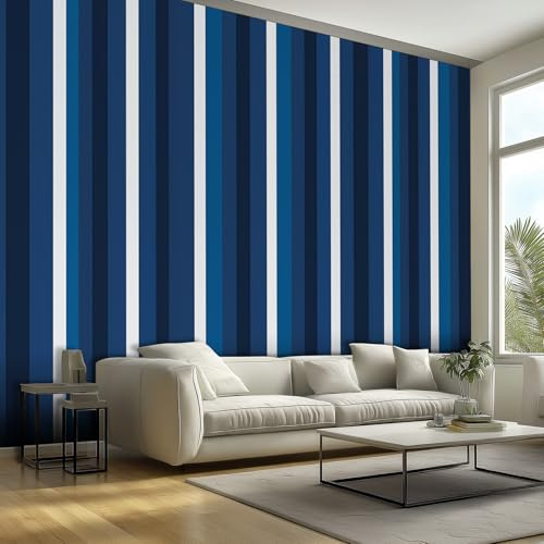 NOGAWA Papier Peint Motif Rayée, 3D Panoramique Papier Peint Bleu Blanc, Papier Mural Decoratif Pour Salon, Chambre, Tapisserie Murales, Décoration Murale 100x70cm