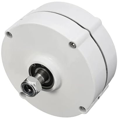 Motor de turbina aerogeneradora, alternador de CA de imán permanente sin engranajes trifásico, 6000W, 12V, 24V, for turbina eólica y agua Para el hogar, la granja, los vehículos recreativo(12V)