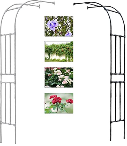 Arco Di Mezzo - Arco Di Mezzo - Supporto per piante rampicanti resistente alle intemperie per uso interno/esterno, 180 x 240 cm, colore: Nero