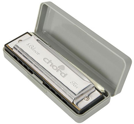 Chord | 10 Hole Harmonica With Case & Cleaning Cloth | Key G