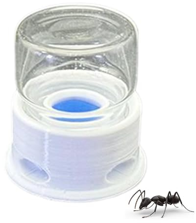 Genérico Transparente Antifugas para Hormigas, Recipiente Alimentador | Estación de Agua para Abejas Diseño Transparente Antiahogamiento Y Antifugas Para Hormigas, A