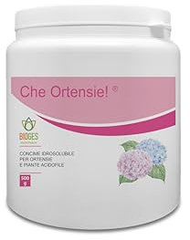 Bioges Che Ortensie! 0,5 kg Concime per ortensie e Piante acidofile