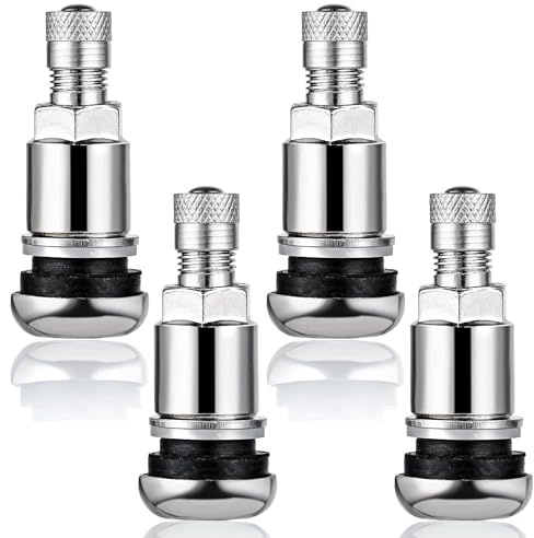 4 Stück Metallventile für Alufelgen,11,3 mm Autoreifen Ventil,Universal Felgenventile,Silber Reifenventil Metall Car Tyre Valve,Robust Langlebig Hochwertige Ventile Geeignet für Auto,Motorrad,Fahrrad