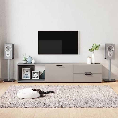 1 Paar Boxenständer, 1 Säule, 2er-Set Lautsprecherständer Speaker Stand für Regallautsprecher, Universaler Boxen-Ständer, Lautsprecher Standfuß, Schwarz & Silbern Hartglas 25 x 25 x 55 cm