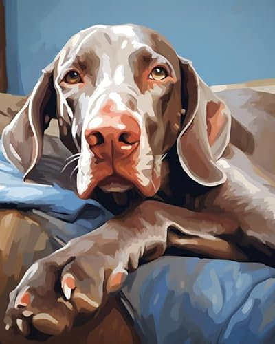 ZMHZMY Malen nach Zahlen Erwachsene,Weimaraner-Hund liegt auf dem Sofa DIY Handgemalt Ölgemälde Kits auf Leinwand Geschenk für Weihnachten Geburtstag Home Haus Deko,40x50cm
