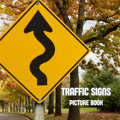 Traffic Signs Picture Book (Picture Books)