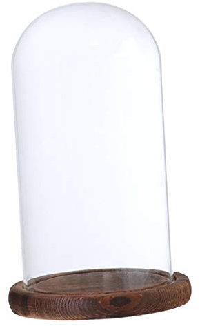 PETSOLA Cupola di Vetro Decorativa per Terrario, Rotonda con Base in Legno, per Tartaruga e Decorazioni Natalizie, Trasparente