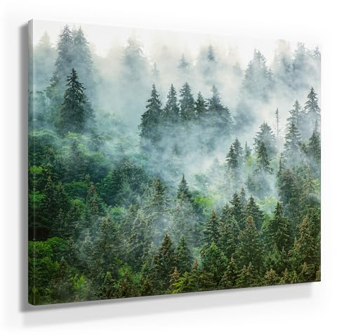 BilderKing Wunderschöne Wald Bilder auf Leinwand. Fotomotiv – Nebelstimmung - als 50x50cm großes Wandbild. Fertig aufgespannt auf Holzrahmen. Eine tolle Deko für Wohnzimmer & Schlafzimmer