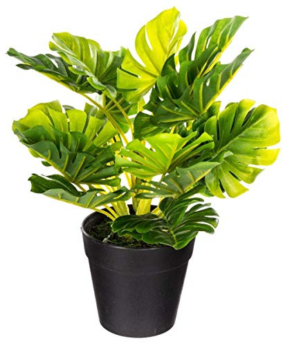 Générique Artificial Fern in Pot