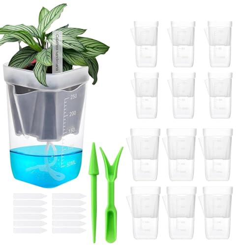 jamgeery Self Watering Plant Pots - Clear Grow Box Cups with Drainage Holes,Semi Hydroponic Planter with Water Level Indicator,for Balcony Patio Deck Porch Garden Yard Living Room