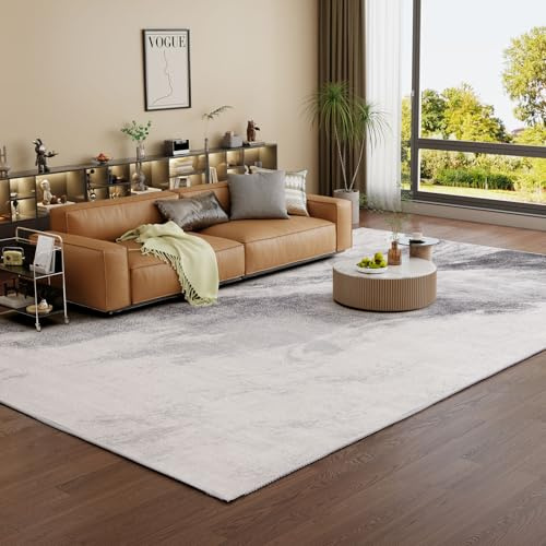 Vamcheer Wohnzimmer Teppich 300x400 cm, Kurzflor, Modern, rutschfest | Hellgrau Schlafzimmer Teppiche Flauschiger,Super Weich Waschbar Boho Teppich,Teppiche Groß für Arbeitszimmer, Büro