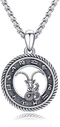 PARYFO 12 Sternzeichen Anhänger Halskette 925 Sterling Silber Oxidiert/Gold Anhänger Sternzeichen Kette Astrologie Schmuck Geburtstag Geschenke für Männer Frauen, mit Edelstahlkette