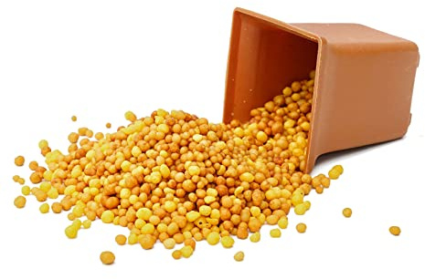 Osmocote 'Exact' - Professional Controlled Release Plant Fertiliser - 5-6 Months of Nutrients - Slow Release Fertiliser - Ideal for all Plants (500 Grams)