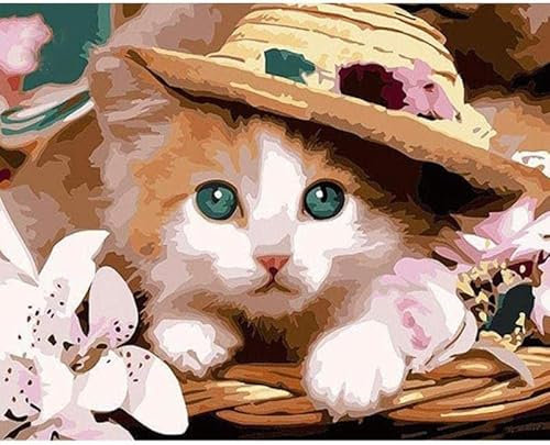 VAKUUM Malnummern-Kits Katze Im Hut Digitales Öl-Leinwand-Malset Für Erwachsene, Kinder, Kinder, Geburtstag, Hochzeit, Dekorationen 50 * 60CM