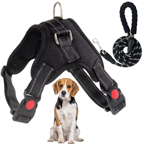 Arnés Perro Mediano, antitirones, Ajustable con Tela Respirable y Botones de Seguridad. Incluye Correa Reforzada, Ideal como Accesorios para Perros medianos. (Negro M)