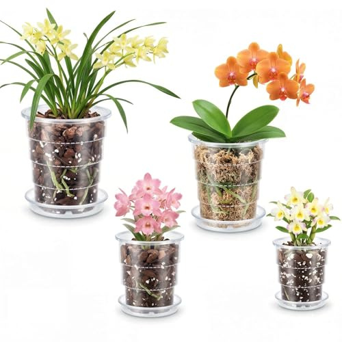 Yimomoyi 4 Stück Transparenter Orchideentopf, Orchideentopf Plastik mit Ablaufloch, Zimmerpflanzentöpfe für Orchideen-Umtopf-Set, Samen-Sämling-Töpfe für Wurzelwachstum (10/12/14/16cm)