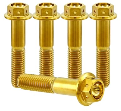 RISON-Titanium 5 Stück Titanschrauben M8x1.25x40mm, Titan Flansch Schrauben Sechskantschraube, Titan Schrauben Gebohrter Bolzen Bremssattelschraube Motorradschrauben Autoschrauben