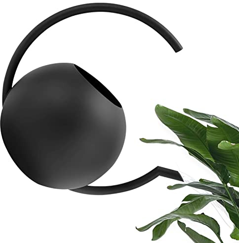 Gießkanne,Gießkanne aus mattem Metall für Zimmerpflanzen - Kleine Gießkannen für Zimmerpflanzen, Gartenblumen, Wasserkannen für Pflanzen im Freien, 1000 ml Weiting