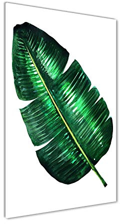 Tulup - Impression sur Verre Acrylique - 60x120 - Image sur Plexiglas - Déco Mural derrière Le Plastique - Tableaux pour la Mur - Mural Art Décoration - Fleurs et Plantes - Vert - Feuille de bananier
