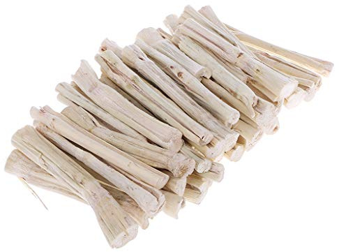 500 g Sweet Bamboo Bâton de bambou pour hamsters, chinchillas, lapins, perroquets, rats, cochons d'Inde, snacks, nettoyage des dents, traitement des molaires, jouet à mâcher