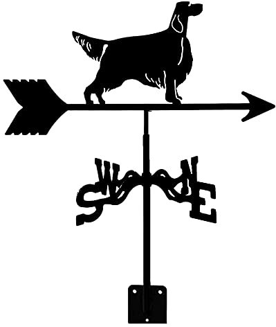 Generic Girouette, Girouette Creative Animal, Girouette Métallique Montée Sur Le Toit Pour La Direction Du Vent de La Tonnelle Extérieure de Jardin de Ferme (Peculi)