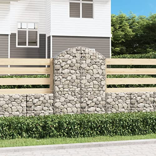 Youuihom Fioriere da Giardino Cassette per la Coltivazione di Ortaggi Cesto Gabbione ad Arco 100x30x140/160 cm Ferro Zincato Adatta a Balconi, Verande, Giardini e Cortili