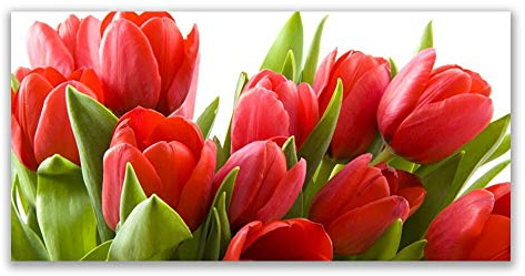 Tulup Acrylic Glass Print 120x60cm Wall Art - Wall Picture Plastic Acrylic Glass - Tulips Floral