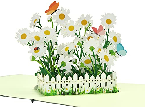 CUTPOPUP Daisy Flowers - Karte Pop Up Blumen Karten Handgemachte Blume Grußkarten 3D Geburtstagskarte Muttertag Jahrestag Thinking of You Dankeskarte DE