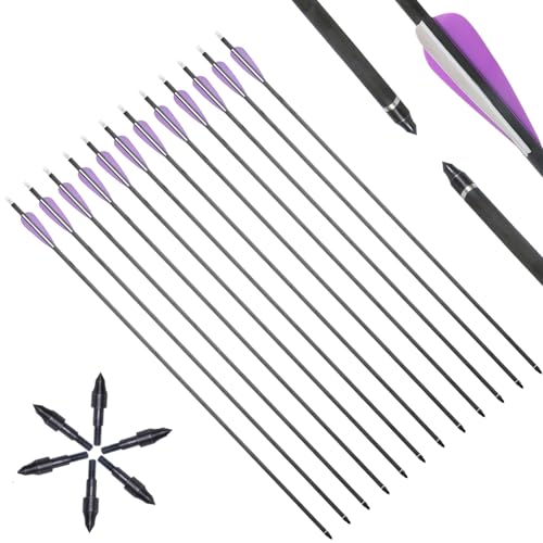 Toparchery 12er Pfeile für Bogenschießen 31 Zoll Carbonpfeile Bogenpfeile Jagdpfeile für Recurvebogen Compoundbogen Langbogen Spine 350