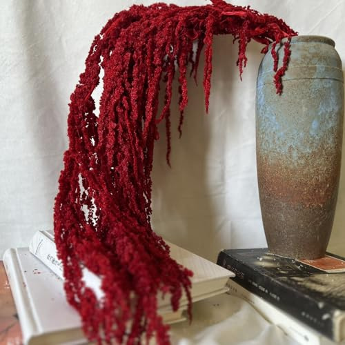 Torkad blombukett, 61 – 80 cm hängande torkad amaranthus, verklighetstrogna naturliga vinstockar, återanvändbara växter för bröllopsbukett vägg hem festdekor, mörkröd, blomma, Ama