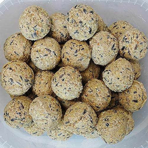 samore 100 Stück Meisenknödel ohne Netz vogelfood Vogelfutter Wildvogelfutter Ganzjahresfutter Fettfutter